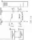 Fig. 14 - Wireless communication network in wireless communication system