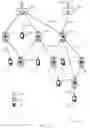 Fig. 03 - Hop-count indication in wireless systems