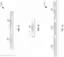 Fig. 11 - Channelization of vehicle-to-everything (V2X) networks