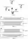 Fig. 02 - Method for uplink scheduling and devices