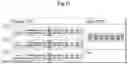 Fig. 12 - Method for performing sub-band unit downlink scheduling in next generation wireless communication system and apparatus for same