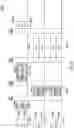 Fig. 27 - Enhancements for resource allocation in WLAN systems