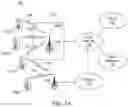 Fig. 02 - Initial access in high frequency wireless systems