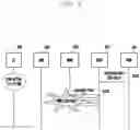 Fig. 08 - Downlink data transmission method and apparatus for wireless communication system