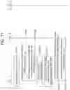 Fig. 12 - Method and device for transmitting SCG failure information message in wireless communication system