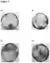 Fig. 04 - Method for cooking food in a solid state microwave oven