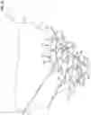 Fig. 16 - Seeding system with vertical array of nozzles