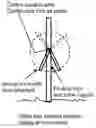 Fig. 01 - Swing Arm Training Method Vines