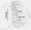 Fig. 02 - Swing Arm Training Method Vines
