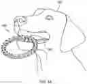 Fig. 04 - Animal Dental Care Device and Method
