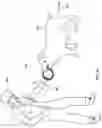 Fig. 07 - Animal Dental Care Device and Method
