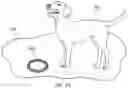 Fig. 08 - Animal Dental Care Device and Method