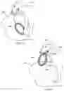 Fig. 09 - Animal Dental Care Device and Method