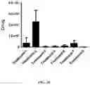 Fig. 27 - ANTIMICROBIAL COMPOUNDS AND COMPOSITIONS, AND USES THEREOF