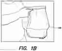 Fig. 03 - Horseshoe crab incubation system
