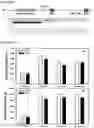 Fig. 02 - Rat models for CMT2A that develop a progressive neuropathy