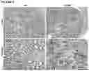 Fig. 08 - Rat models for CMT2A that develop a progressive neuropathy