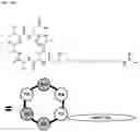 Fig. 23 - Paenibacillus strain, antifungal compounds, and methods for their use