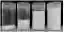 Fig. 01 - COMPOSITION COMPRISING A STRUCTURED CONTINUOUS OIL PHASE