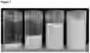 Fig. 02 - COMPOSITION COMPRISING A STRUCTURED CONTINUOUS OIL PHASE
