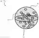 Fig. 01 - ADVANCED ENCAPSULATION PROCESS FOR CONTROLLED RELEASE OF ACTIVE INGREDIENTS FROM A CHEWING GUM