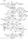 Fig. 01 - Water- and energy-saving systems and methods for producing lime-cooked masa