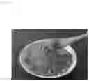 Fig. 03 - POWDERED PROCESSED SESAME PRODUCT AND METHOD FOR PRODUCING SAME