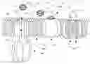 Fig. 01 - Methods and compositions for rapidly decreasing epigenetic age and restoration of more youthful function