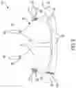 Fig. 03 - Leotard including built-in supportive bra