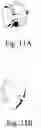 Fig. 13 - Clasp for jewelry item