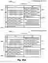 Fig. 129 - SYSTEM AND METHOD FOR LOCATIONAL IMAGE PROCESSING