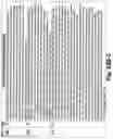 Fig. 150 - SYSTEM AND METHOD FOR LOCATIONAL IMAGE PROCESSING