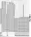 Fig. 173 - SYSTEM AND METHOD FOR LOCATIONAL IMAGE PROCESSING