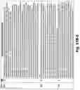 Fig. 182 - SYSTEM AND METHOD FOR LOCATIONAL IMAGE PROCESSING