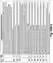 Fig. 195 - SYSTEM AND METHOD FOR LOCATIONAL IMAGE PROCESSING