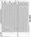 Fig. 207 - SYSTEM AND METHOD FOR LOCATIONAL IMAGE PROCESSING