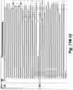 Fig. 239 - SYSTEM AND METHOD FOR LOCATIONAL IMAGE PROCESSING