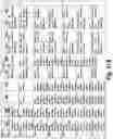 Fig. 79 - SYSTEM AND METHOD FOR LOCATIONAL IMAGE PROCESSING