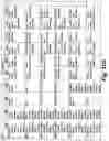 Fig. 82 - SYSTEM AND METHOD FOR LOCATIONAL IMAGE PROCESSING
