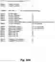 Fig. 90 - SYSTEM AND METHOD FOR LOCATIONAL IMAGE PROCESSING