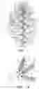 Fig. 02 - SELF-SHAPING ARTIFICIAL CHRISTMAS TREE WITH MOLDED POLYMER BRANCHES AND LEAF TIPS WITH MEMORY WIRE STEMS
