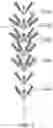 Fig. 04 - SELF-SHAPING ARTIFICIAL CHRISTMAS TREE WITH MOLDED POLYMER BRANCHES AND LEAF TIPS WITH MEMORY WIRE STEMS