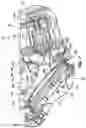 Fig. 09 - HANDHELD VACUUM CLEANER
