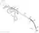 Fig. 01 - Portable endoscope system