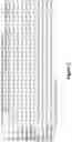 Fig. 06 - Diagnostic classification of corneal shape abnormalities