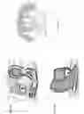 Fig. 08 - Methods and systems for eye measurement with in-focus iris and scleral imaging