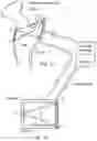 Fig. 09 - Method for detecting body parameters