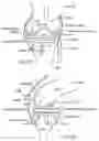 Fig. 20 - Method for detecting body parameters