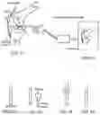 Fig. 28 - Method for detecting body parameters