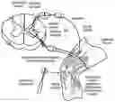 Fig. 01 - Method of making a neural interface system
